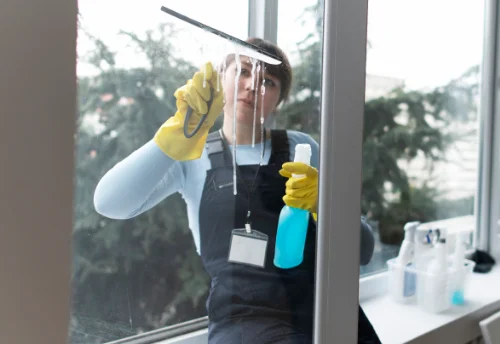 Nettoyage de vitres intérieures et extérieures à Pont-de-Poitte